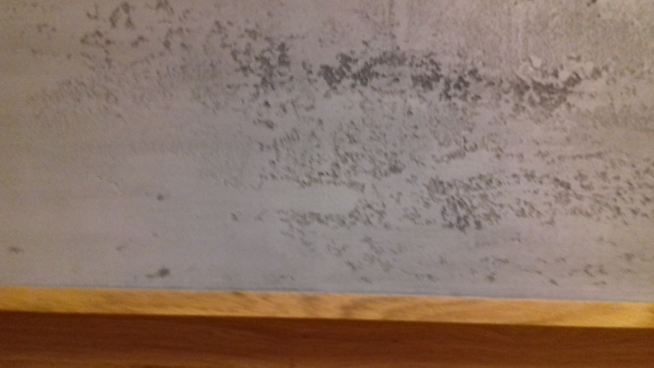 Detail štruktúry omietky