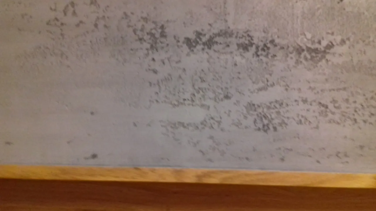 Detail sivého povrchu s tmavšími pórmi nad drevenou lištou